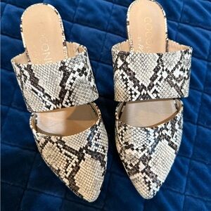 Coconuts by Matisse Snake Print Mules